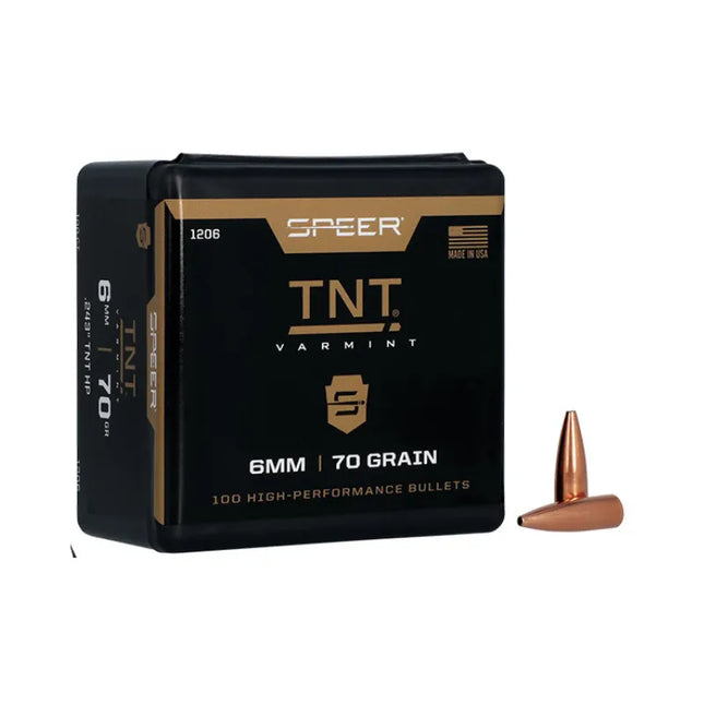 SPEER 243 70GR HP TNT VARMINT - 100PK