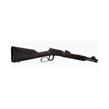 ROSSI RIO BRAVO LEVER ACTION RIFLE .22WMR 20" SYNTHETIC STOCK