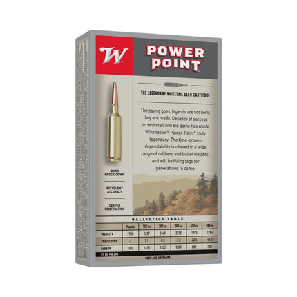 WINCHESTER 243 SX 100GR SP - 20PK