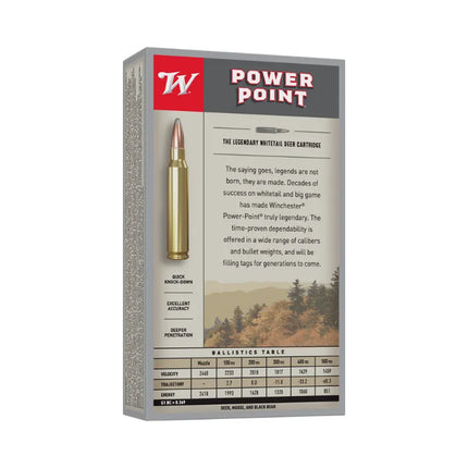 WINCHESTER 303 SX 180G - 20PK